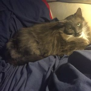 Meet your Posher, Lee